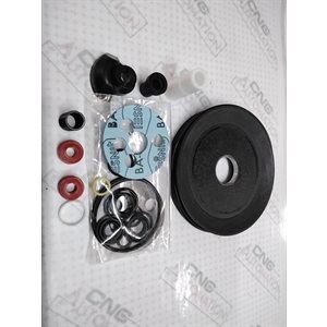 KIT,REPAIR,AIR MOTOR,1000-4